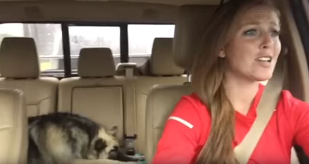 Dieses Video geht viral endlich bist du im Auto eingeschlafen, da